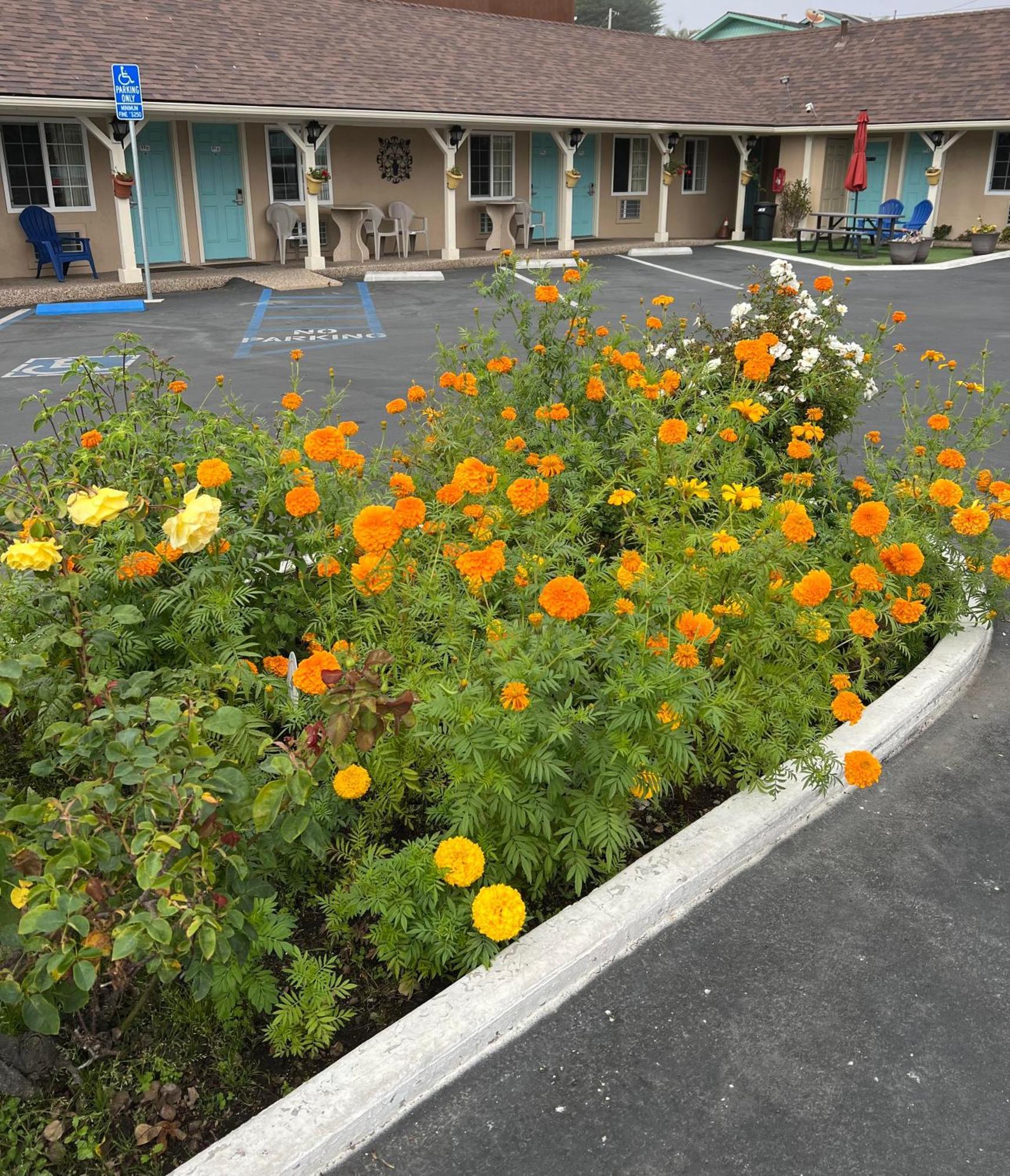Central Coast Inn Cayucos Exterior photo